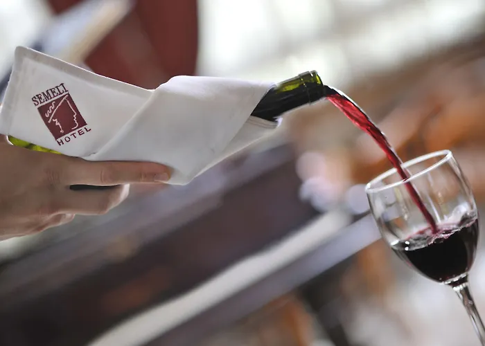 酒店 塞莫利酒店