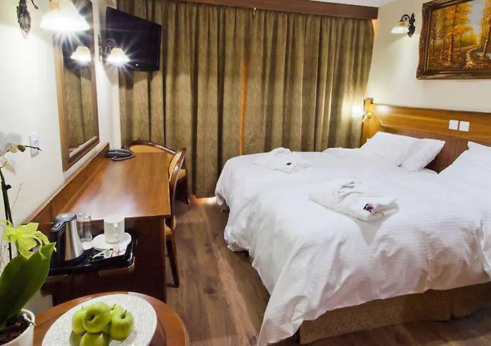 塞莫利酒店 3* 尼科西亚